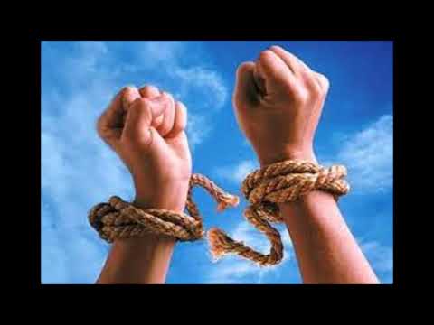 Descatusat  - Wayne Gute