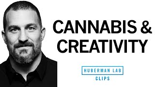 Does Cannabis (Marijuana) Use Increase Creativity | Dr. Andrew Huberman