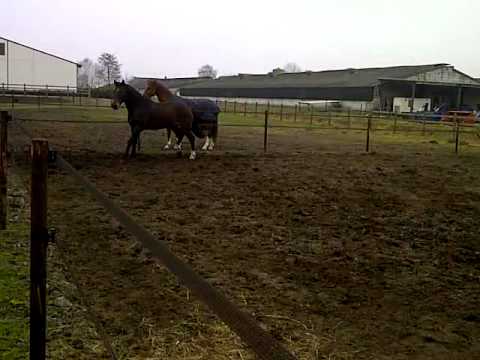 download lagu mp3 mp4 Veronique Andre De La Porte, download mp3 Veronique Andre De La Porte free downloadn, video klip Veronique Andre De La Porte