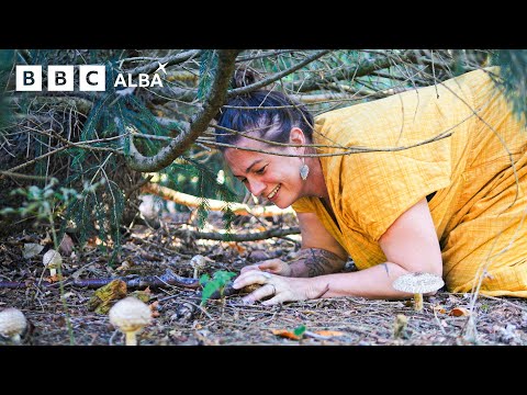 Rùrachd Ep 3 - Air An Oir | BBC ALBA