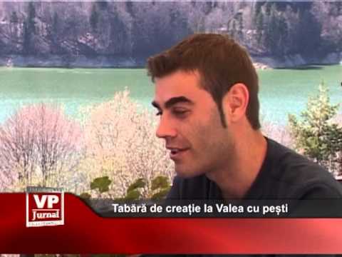 Tabără de creație la Valea cu pești