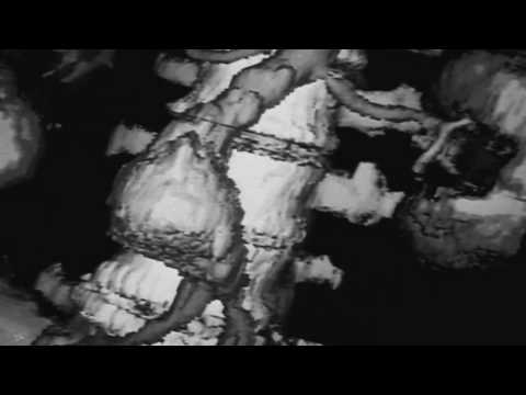 Wumpscut - Is It You