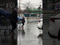 Seagull In A Parking Lot In A Rainy Day Shorts