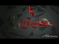 Ali Warish Ali Warish Ali Warish Ali WarishWhatsApp Status 30 Second