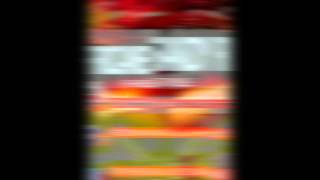 REDMAN   Hurricane Sandy RELIEF