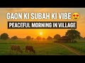 Gaon Ki Subah Ki Vibe Peaceful Morning In Village