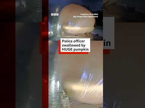 Video | Giant inflatable pumpkin blocks road in Ohio. #Cleveland #Halloween #BBCNews