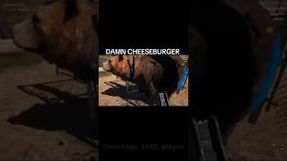 Is Cheeseburger okay? 😅