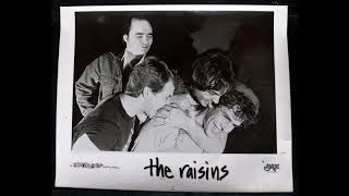 the raisins -Fear Is Never Boring