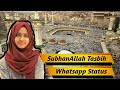 SubhanAllah Tasbih Whatsapp Status Ayesha Abdul Basith