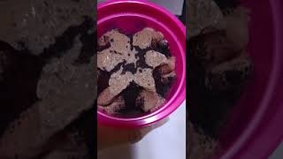 Download lagu cream line ice cream || cream cup #icecream #icecreamcup #shorts mp3 Download lagu cream line ice cream || cream cup #icecream #icecreamcup #shorts mp3