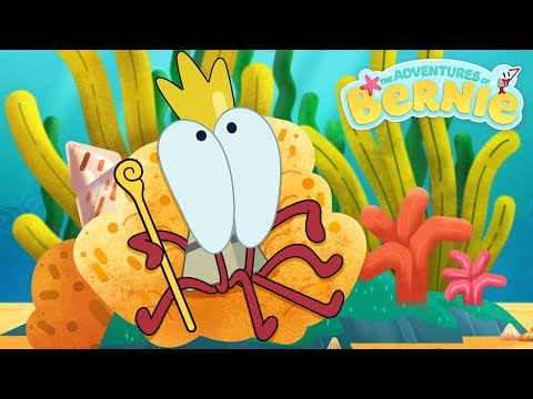 NEW The Adventures of Bernie 👑 GREAT KING BERNIE | Zig & Sharko - Cartoons for Kids