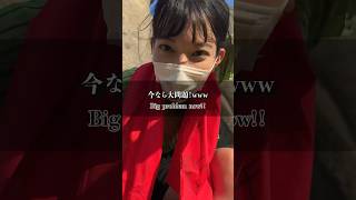 大問題 #shorts