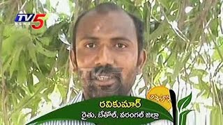 Farm Pond Farming Yielding Profits | Warangal | Annapurna | TV5 News