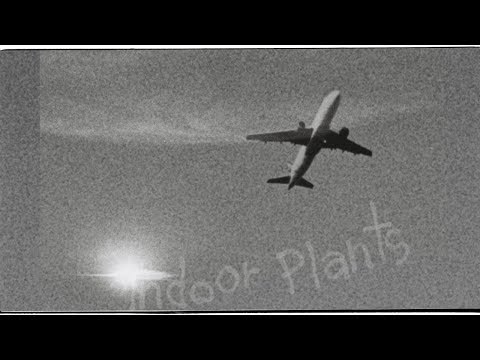 Soft Pine – Indoor Plants (Official Music Video)