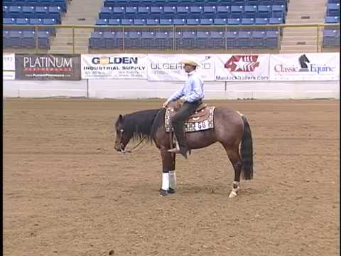 Outlaw Dreams/Devin Warren 2017 Affiliate Finals Novice Horse Open Champions