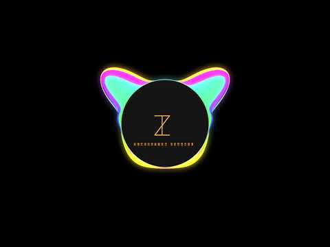 Macklemore_Ryan lewis - Thrift shop (Remix)