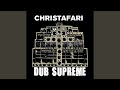 Freedom Fighters Dub (Dub)