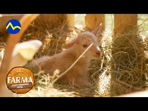 Farmárom sa narodili kozliatka | FARMA 15