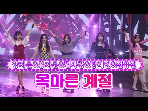 양지은&홍지윤&전유진&별사랑&강혜연 - 목마른 계절 화요일은 밤이 좋아 19화 220412 방송