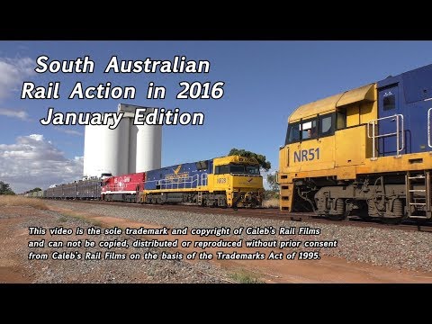 South Australian Rail Action - January 2016 Edition - North Line Movements