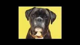 Satellite Party - Milky Ave