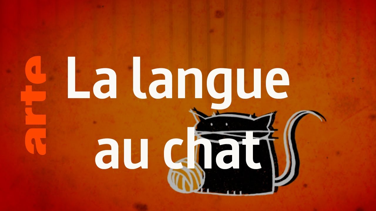 Le chat - Karambolage - ARTE