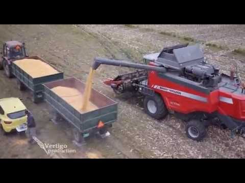 Vrhunski Dekalb hibridi kukuruza   U nasem ataru 573