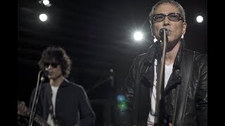 佐野元春 & ザ・コヨーテバンド
スタジオライブMV