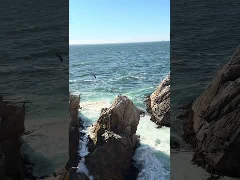 South Of The Equator Viña del Mar, Valparaiso , Concón Chile Summer 2026