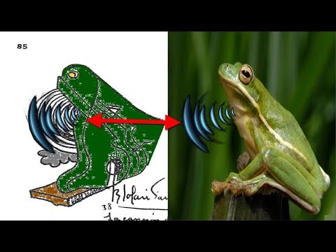 download lagu mp3 mp4 Kampi Music, download lagu Kampi Music gratis, unduh video klip Download Kampi Music Mp3 dan Mp4 Free All Gratis
