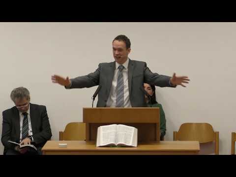 Nenad Didara - MAGARECA VOLJA