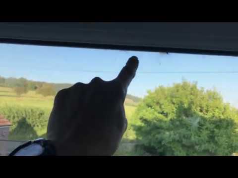 Why are there so many spiders on our window??!