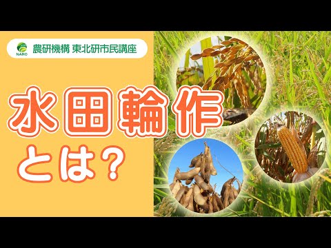, title : '農研機構 東北研 市民講座 第36回「水田輪作とは？」'