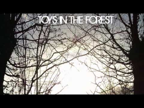Toys In The Forest