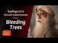 Sadhguru’s Occult Experiences | Sadhguru Exclusive