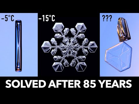 Who Knew a Snowflake Could Be So Fascinating?!