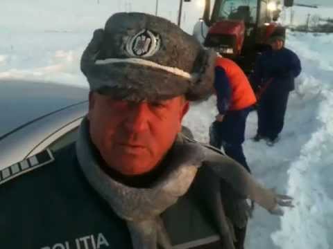 Inzapeziri la Pogana