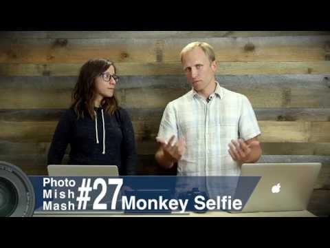 Photo Mish Mash Ep 27 - Monkey Selfie