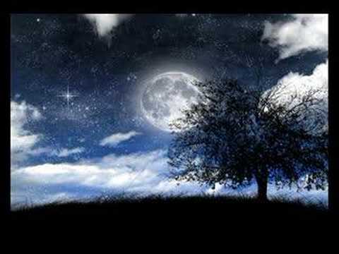 Bajo La Luna video