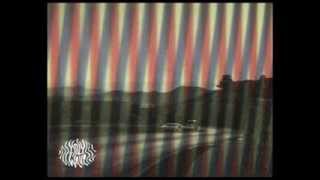 Holy Wave - Star Stamp