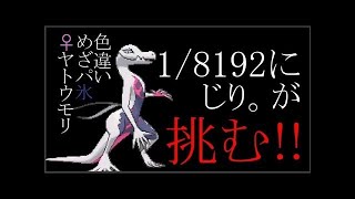 「ポケモンSM」 地獄のヤトウモリ厳選　 滅失　編