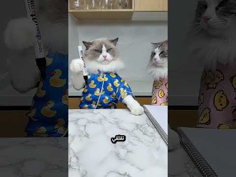 مغامرة الحشرة داخل الدائرة #shortvideo