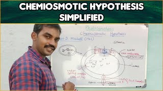 Chemiosmotic hypothesis | Plant physiology