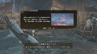 【雑談実況】HR 98～笛かスラアク【モンスターハンターワイルズ】