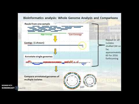 Launen Lab Intro to Genomics Approach for Vv Project Pt 2