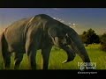 Walking With Beasts Next Of Kin American Version Part 1
