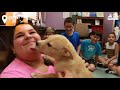 5. Sınıf  İngilizce Dersi  Describing what people/animals are doing now Rescue Puppy Brings Her Family So Much Joy | This is what it&#39;s like to rescue a dog: &quot;It&#39;s hard to describe the amount of ... konu anlatım videosunu izle
