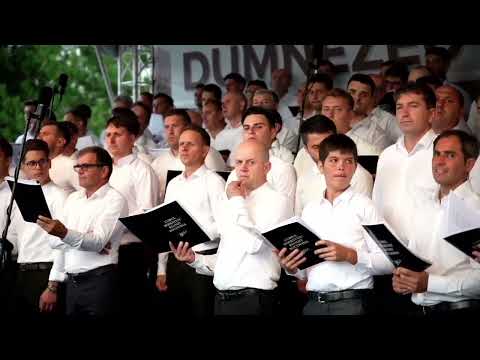 Frații Strugariu - Paradis Tărâm Frumos (Dumnezeu știe mai bine)