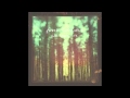 Fossil Collective - How Was I To Know 